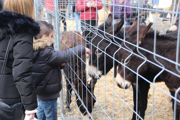 Tolosako Gabonetako azoka be 97 1514054509231