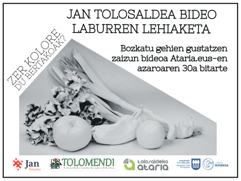 ADI! Jan Tolosaldea Bideo Lehiaketako bozketa martxan da!