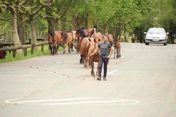 Larre irekiera ekitaldi bere 16 1588336781985