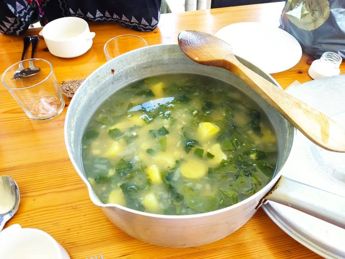 Sendabelar ikastaroa Urkizun 5 1652175193039