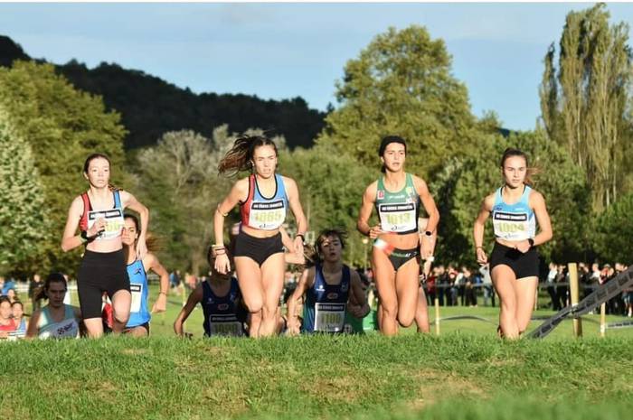 Maila ona eman dute Tolosa C 3 1667564243798