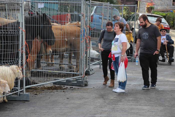 Bertako uzta, guztien eskura 22 1572189123247