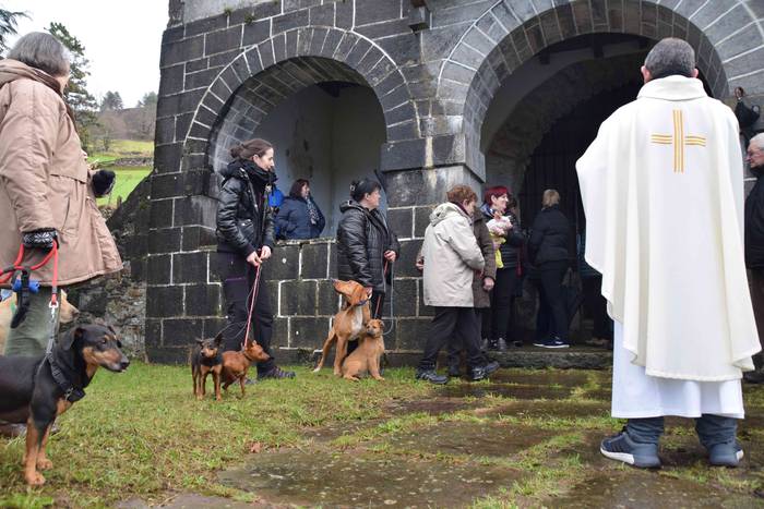 Animaliek jaso dute San Anto 12 1547722512385