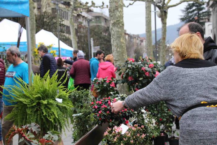 Erein eta zaintzearen magiak 18 1581165936306