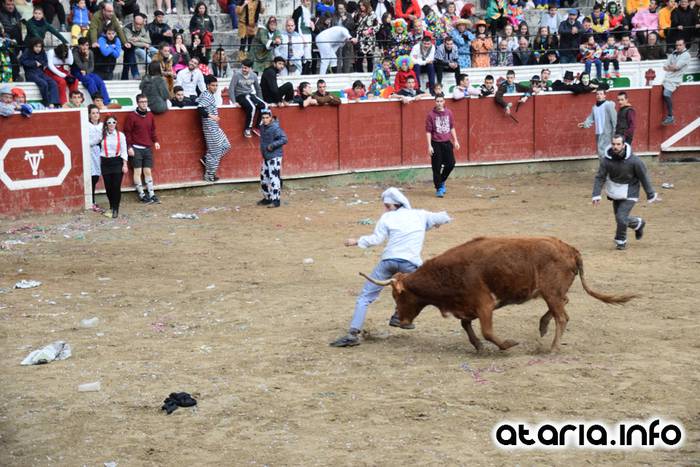 Pattar zezena 2016 39 1455012397237