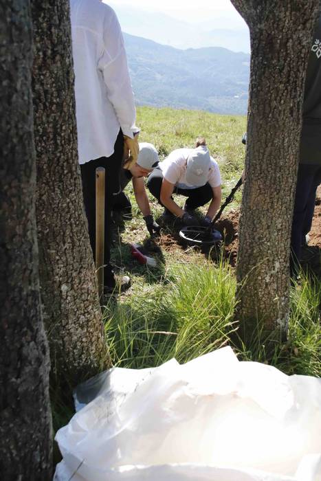 Saseta Defentsa Sistema auzo 15 1658491983013