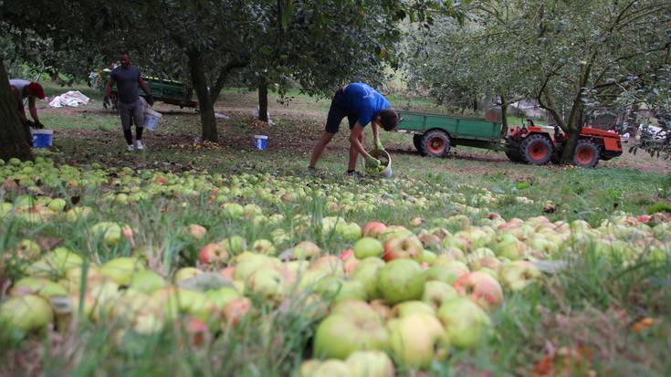 Pasahitza, 2025-10-13