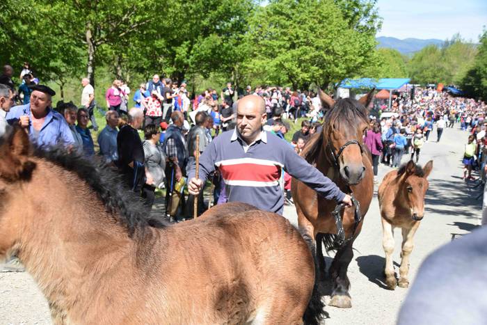 Larrerati dituzte abereak Ar 53 1556716323075