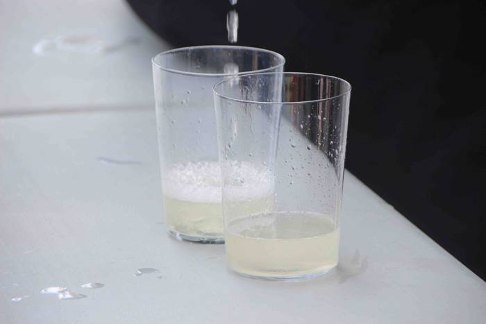 Aparrez busti dira Leaburun 30 1530444716025