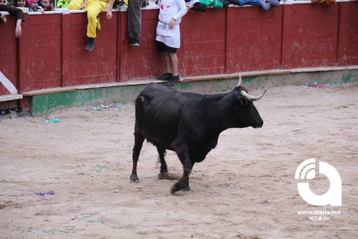 Zezenak adarrak okerrak ditu 22 1488277281169