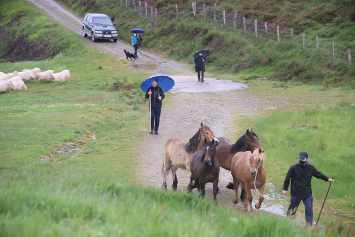 Larre irekiera Berastegi 202 7 1621072167988