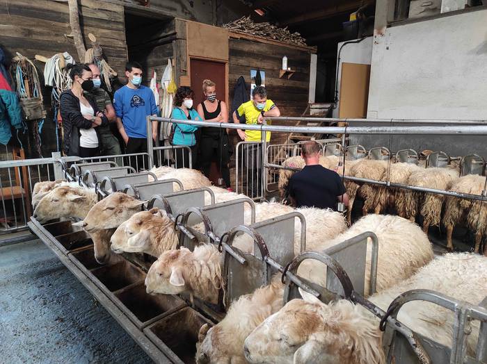 Berastegiko artzaintza eta g 1 1624262853180