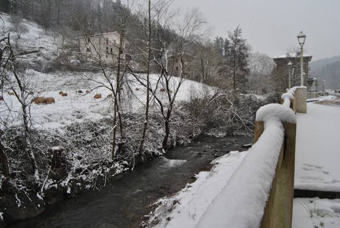 Argazki galeria: Tolosaldea, 12 1519809718169