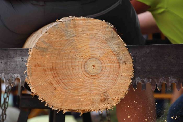 Asteasuko Santamañan jai egu 26 1563458593170