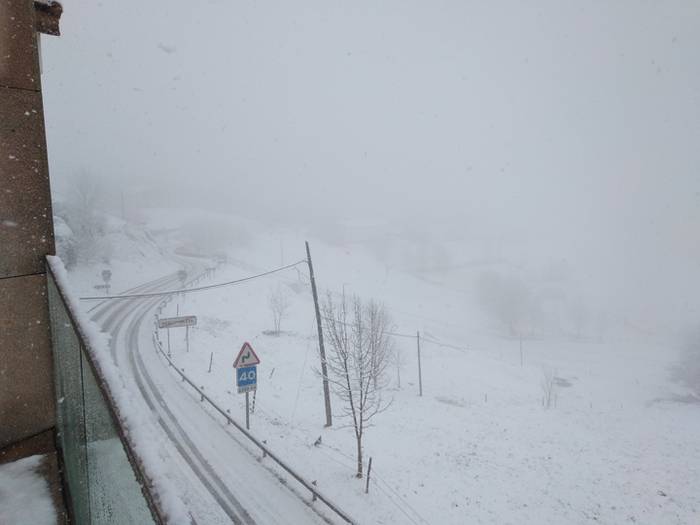 Elkartasun uholdea, elurtea  16 1515430006944