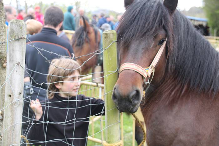 Aralarko larre irekiera 47 1462122139183