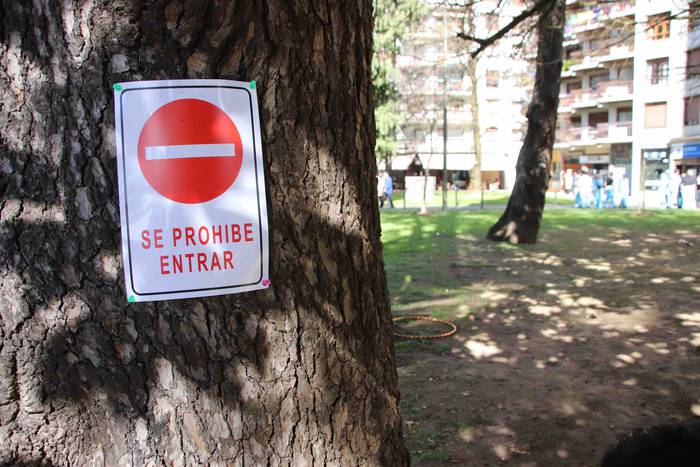 Zaldunita Eguna 2019, karroz 21 1551629125542