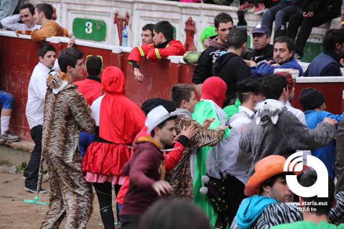 Zezenak adarrak okerrak ditu 17 1488277250983