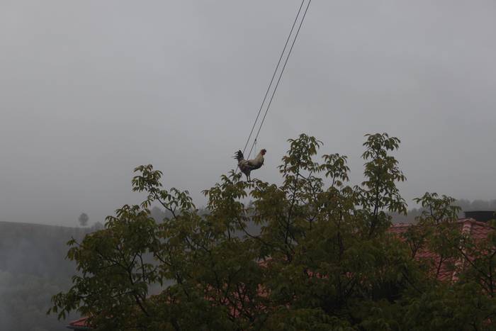 Orexako Jaiak 2019 8 1556884669488