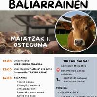 Txekor jatea