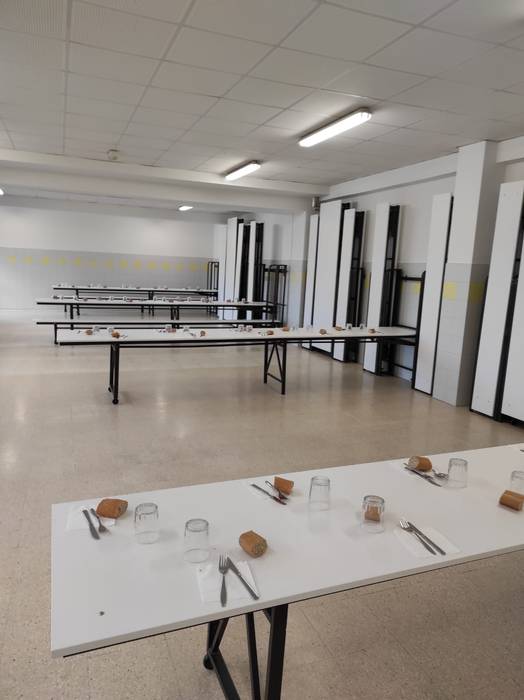 Erniobeako jangela 6 1633448358407