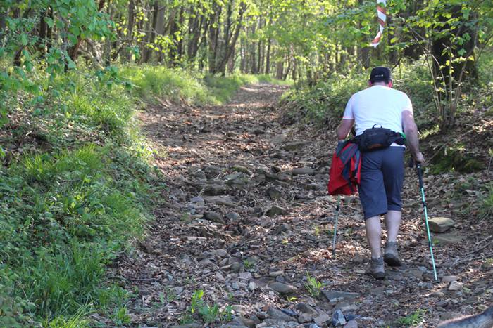 berastegiko mendi ibilaldia 18 1525609576596