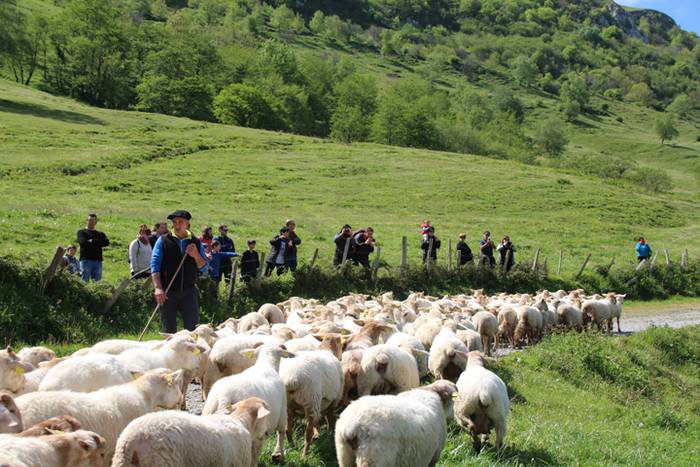 Larre irekiera Larraitzen 20 95 1493640244428