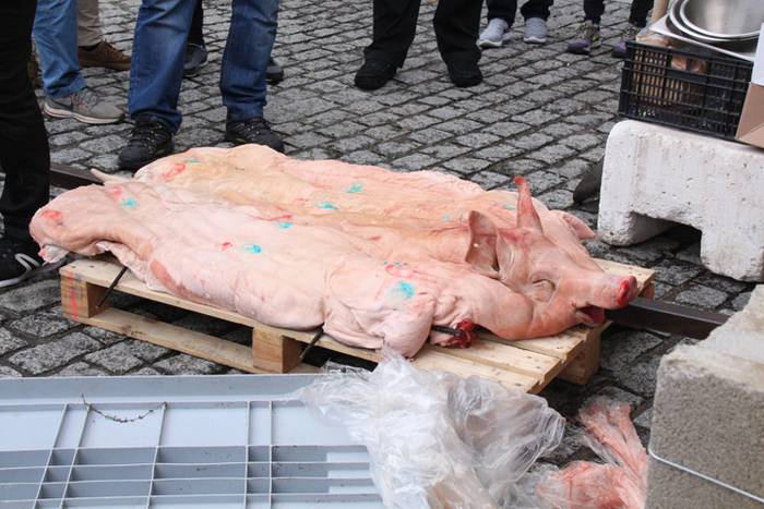 Haragia eta txingarra protag 21 1524932709847