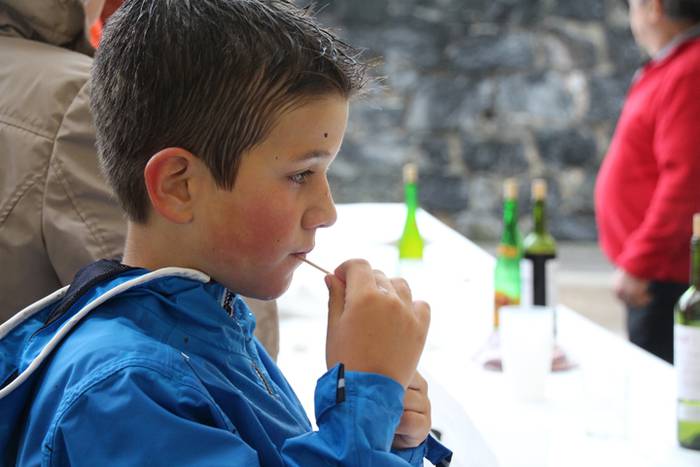 Bedaioko mendietan barrena 49 1496582944071