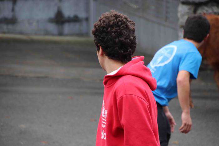 Amasako San Martinak 2019 32 1573305148316