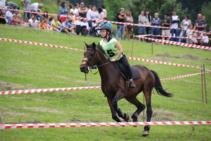 Zaldien gainean lehian 32 1497207295459