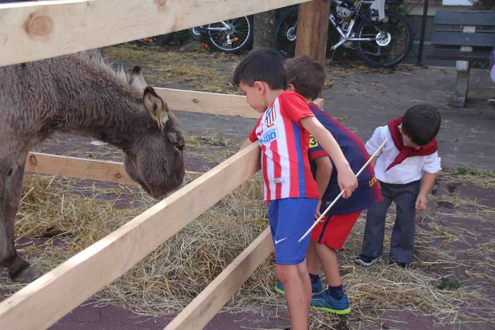 Euskaldunak asetzeko festa 48 1570976338124