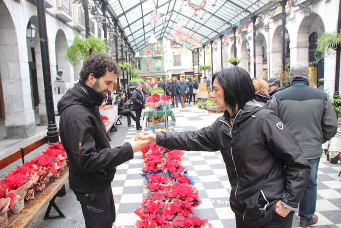 Tolosako Gabonetako azoka be 4 1514054016569