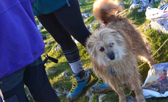 Txirrita Mendi Martxa: mendi 22 1526888351502