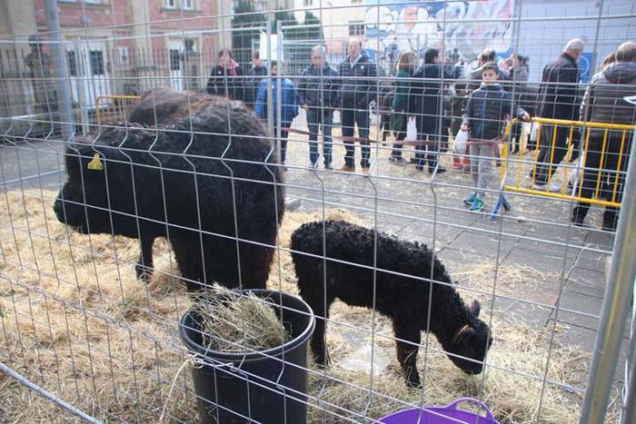 Tolosako Gabonetako azoka be 106 1514054553928