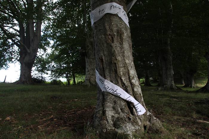 Mugak senidetzeei bide eman  24 1503145500693