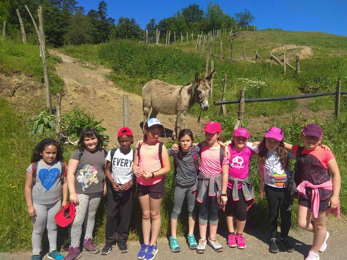 Fleming mendi irteera 28 1559657929456