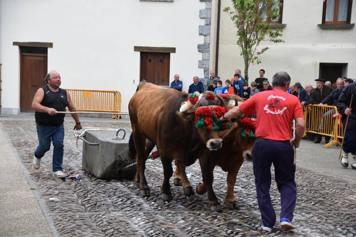 San Isidro eskualdean zehar 7 1463322518481