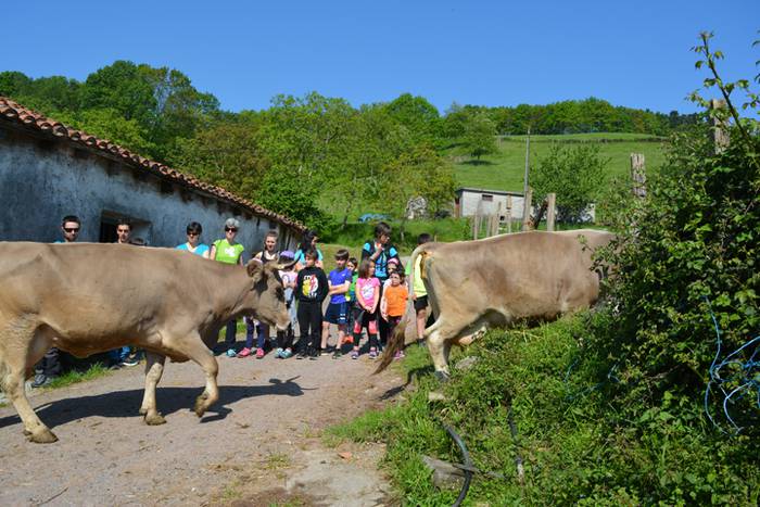 Herriko ekoizle eta kontsumi 2 1525766419143