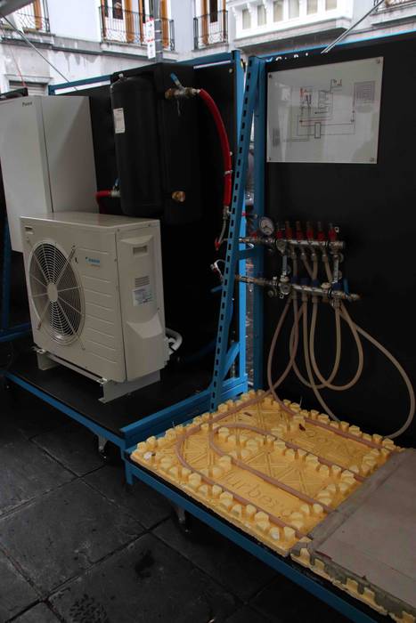 aaaa zokaaa 30 1544875844564