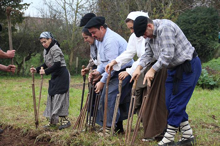ADUNAKO KULTUR ASTEA 2017. G 29 1511018018112