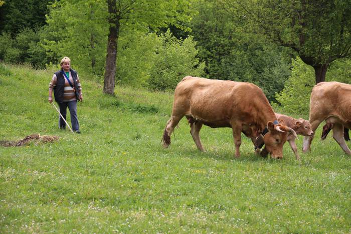 Amasamendira bota dute ganad 27 1493649280735