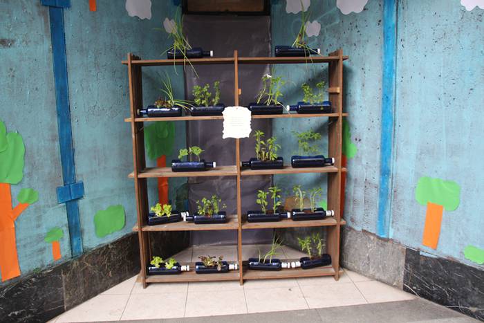 artekalea tolosa baratzeak 2016 13 1462968047010