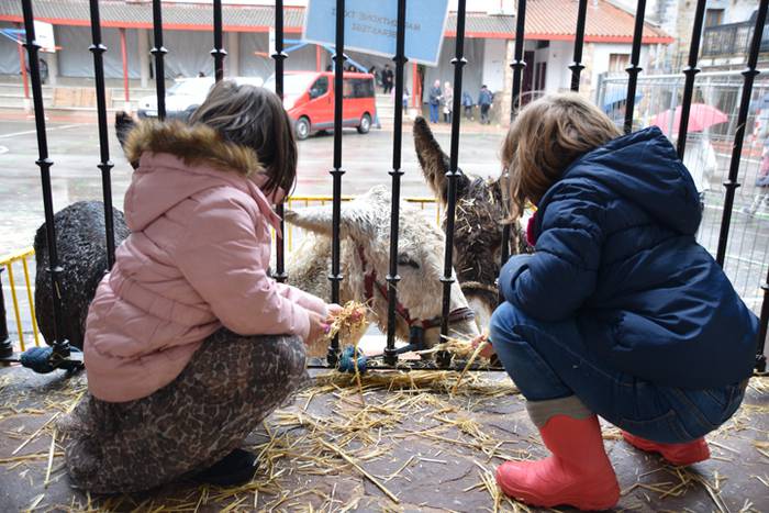 Azoka euriaren gainetik 35 1478447561806