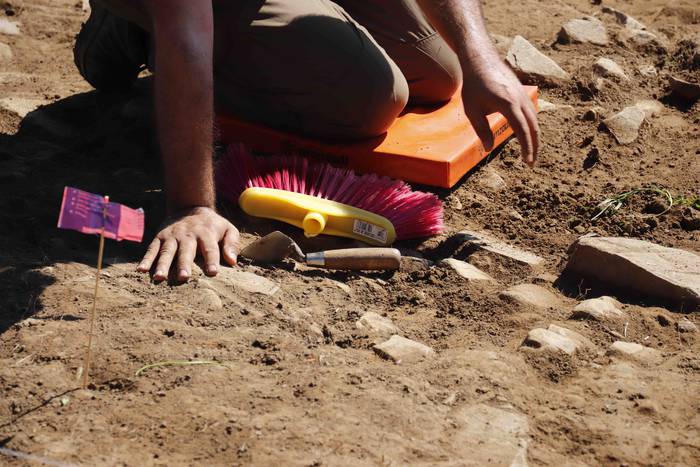 Saseta Defentsa Sistema auzo 17 1658491983978