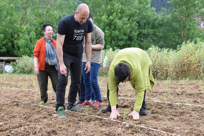 Piper landaketa uzturpe gureak  789 taldea 36 1464793779629