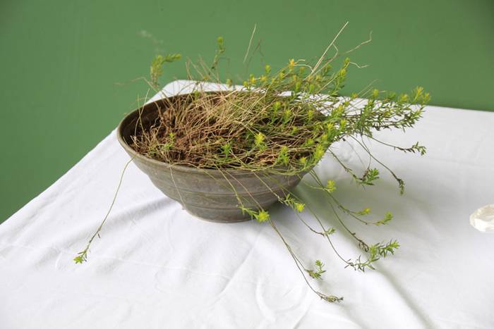 Landaretik ehunera, lihoa 1 1480162728425