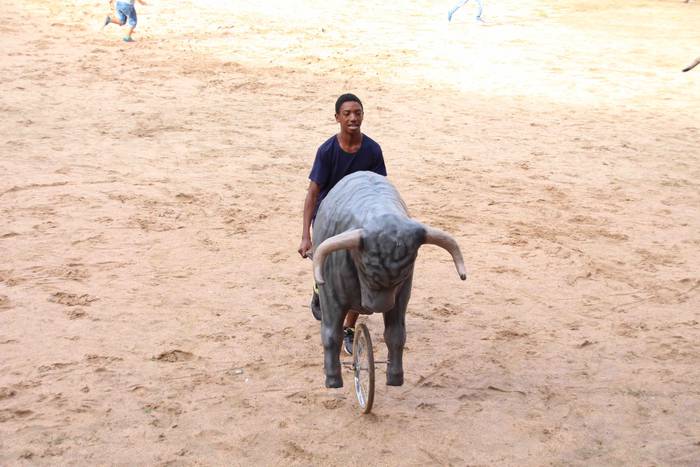 Zezen plaza hartu dute umeek 11 1539360548009