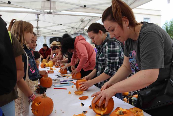 Azken Udako Azoka Ekologikoa 8 1667131006634