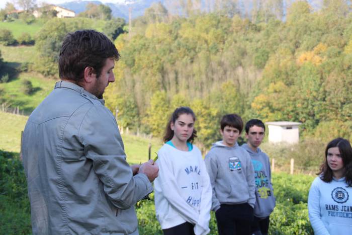 Piperraren zikloa 2015 3 1445442211432